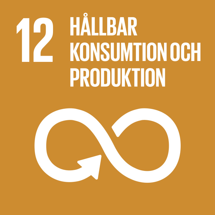 SDG-koppling 12 hållbar konsumtion.